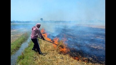 The Punjab agriculture minister said the farm fire cases reduced to 36,623 in 2023 from 49,922 incidents in 2022, reflecting a dip of 26% (PTI File) The Punjab agriculture minister said the farm fire cases reduced to 36,623 in 2023 from 49,922 incidents in 2022, reflecting a dip of 26% (PTI File)