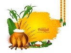 Here are important traditions associated with Bhogi Pongal that people in South India follow