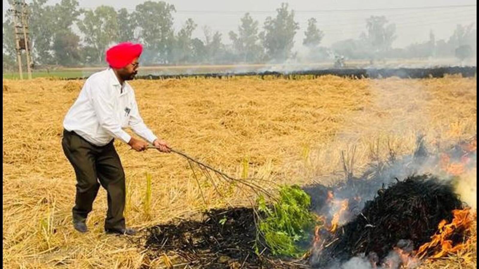 More stubble trouble in Punjab: Fires fewer but area affected more - Vimarsana News