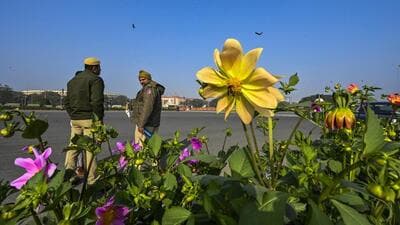 A clear blue sky at Vijay Chowk on Thursday. (Raj K Raj/HT photo) A clear blue sky at Vijay Chowk on Thursday. (Raj K Raj/HT photo)