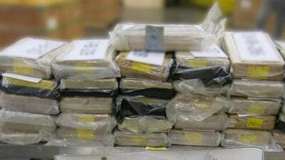 Bricks of cocaine allegedly recovered from Sukhwinder Dhanju’s truck in Ontario, Canada. (Credit: CBSA/RCMP) Bricks of cocaine allegedly recovered from Sukhwinder Dhanju’s truck in Ontario, Canada. (Credit: CBSA/RCMP)