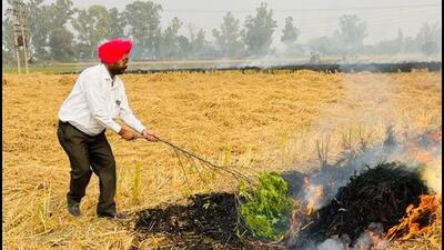District teams douse a fire in a paddy field in Mansa in Punjab in November. (HT Photo) District teams douse a fire in a paddy field in Mansa in Punjab in November. (HT Photo)