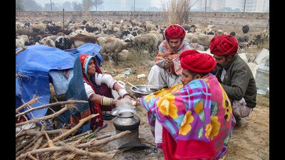 Nomadic shepherds from Rajasthan sit near a bonfire to warm themselves during a cold winter day, on the outskirts of Gurugram, on Thursday. (PTI)