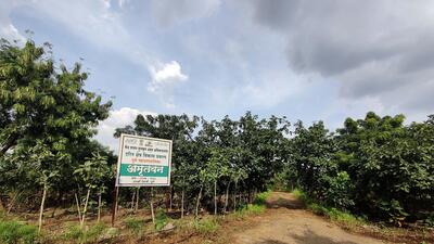 Once known for flies, foul smell and leachate, the Uruli Devachi, Phursungi garbage depot has been converted to a lush green space with request from Bollywood for film shooting and school study trips. (HT) Once known for flies, foul smell and leachate, the Uruli Devachi, Phursungi garbage depot has been converted to a lush green space with request from Bollywood for film shooting and school study trips. (HT)
