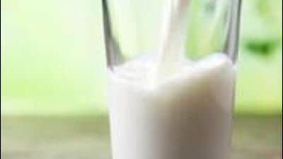 The education department has initiated an inquiry after a lizard was found in milk served to students at a government primary school in Belagavi. (Getty Images (Photo for representation)) The education department has initiated an inquiry after a lizard was found in milk served to students at a government primary school in Belagavi. (Getty Images (Photo for representation))