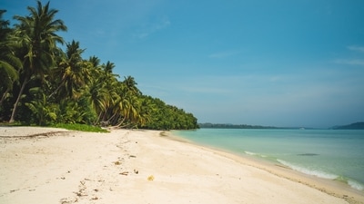 Havelock Islands in Andaman & Nicobar (Unsplash) Havelock Islands in Andaman & Nicobar (Unsplash)