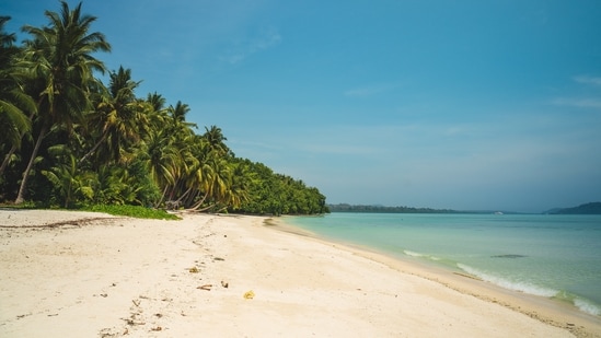 Havelock Islands in Andaman & Nicobar (Unsplash)