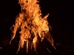 bonfire_on_Lohri