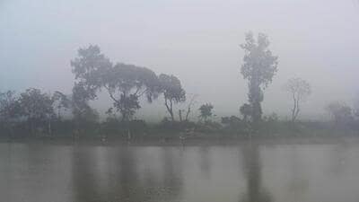 A cold and foggy winter morning near Akshardham temple. (Sanjeev Verma/HT Photo) A cold and foggy winter morning near Akshardham temple. (Sanjeev Verma/HT Photo)
