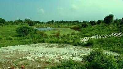 Abshisht Kusum Gupta, the petitioner, filed a plea in February 2022, apprising the tribunal about the deteriorating condition of water bodies such as ponds in the district and sought their rejuvenation, restoration, removal of encroachments. (HT Photo) Abshisht Kusum Gupta, the petitioner, filed a plea in February 2022, apprising the tribunal about the deteriorating condition of water bodies such as ponds in the district and sought their rejuvenation, restoration, removal of encroachments. (HT Photo)
