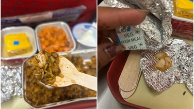 Pictures shared by the flyer show chicken pieces in a vegetarian meal. (X/Veera Jain) Pictures shared by the flyer show chicken pieces in a vegetarian meal. (X/Veera Jain)