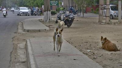 For Representation Only (HT File Photo) For Representation Only (HT File Photo)
