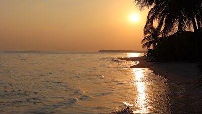 In the customized package, visitors have the freedom to visit both the smaller and larger islands of Lakshadweep and stay at various properties across the archipelago. This package allows for a more flexible and tailored experience, catering to individual preferences and interests. (Unsplash) In the customized package, visitors have the freedom to visit both the smaller and larger islands of Lakshadweep and stay at various properties across the archipelago. This package allows for a more flexible and tailored experience, catering to individual preferences and interests. (Unsplash)
