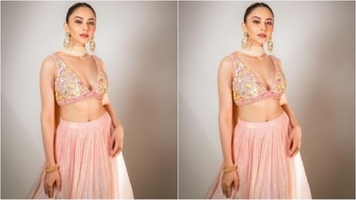 On Friday, Rakul gave her fans a sweet surprise as the actress took to Instagram and uploaded a series of stunning pictures accompanied by the caption "Blush tones".&nbsp;&nbsp;&nbsp;&nbsp;&nbsp;&nbsp; (Instagram/@rakulpreet)