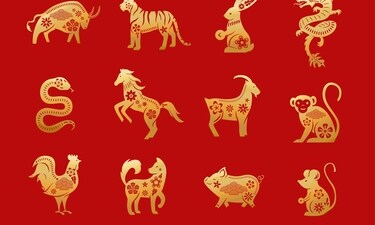 Read your weekly Chinese love horoscope based on your zodiac sign. (Freepik)