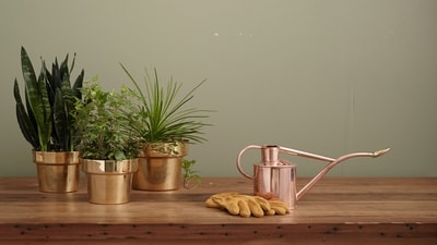 “Brass and copper are timeless materials that could immediately add a hint of luxury and warmth to any space. These metals have been utilized in indoor design for centuries and are preserved to remain applicable because of their versatility and splendor. Adding brass and copper accents to your private home can amp up its decor and bring a hint of sophistication to your living space,” says Tapan Bhuyan, Founder of Arka Design, a leading home decor and furniture company. He further shared with HT Digital some useful tips to use brass and copper in your home decor. (Unsplash) “Brass and copper are timeless materials that could immediately add a hint of luxury and warmth to any space. These metals have been utilized in indoor design for centuries and are preserved to remain applicable because of their versatility and splendor. Adding brass and copper accents to your private home can amp up its decor and bring a hint of sophistication to your living space,” says Tapan Bhuyan, Founder of Arka Design, a leading home decor and furniture company. He further shared with HT Digital some useful tips to use brass and copper in your home decor. (Unsplash)