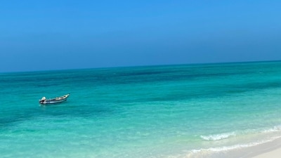 Lakshadweep is now emerging as the most sought-after holiday destination after the Maldives faced a boycott following derogatory remarks against Prime Minister Narendra Modi made by their officials. From actors to cricketers, celebrities have come out in open support of promoting local beach destinations and other tourist spots amid the India-Maldives diplomatic row. Lakshadweep, with its heavenly sun-kissed beaches, magnificent lagoons, and turquoise blue water, is the most ideal vacation destination for nature lovers. If you are planning a trip soon, here are a few things you can do there to make your stay a pleasant one. (Unsplash) Lakshadweep is now emerging as the most sought-after holiday destination after the Maldives faced a boycott following derogatory remarks against Prime Minister Narendra Modi made by their officials. From actors to cricketers, celebrities have come out in open support of promoting local beach destinations and other tourist spots amid the India-Maldives diplomatic row. Lakshadweep, with its heavenly sun-kissed beaches, magnificent lagoons, and turquoise blue water, is the most ideal vacation destination for nature lovers. If you are planning a trip soon, here are a few things you can do there to make your stay a pleasant one. (Unsplash)