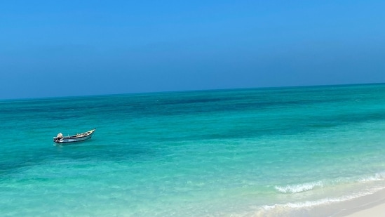 Lakshadweep is now emerging as the most sought-after holiday destination after the Maldives faced a boycott following derogatory remarks against Prime Minister Narendra Modi made by their officials. From actors to cricketers, celebrities have come out in open support of promoting local beach destinations and other tourist spots amid the India-Maldives diplomatic row. Lakshadweep, with its heavenly sun-kissed beaches, magnificent lagoons, and turquoise blue water, is the most ideal vacation destination for nature lovers. If you are planning a trip soon, here are a few things you can do there to make your stay a pleasant one.(Unsplash)
