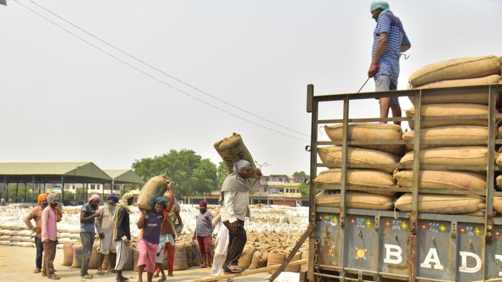 Not looking to lift curbs on export of food items: Goyal - Vimarsana News