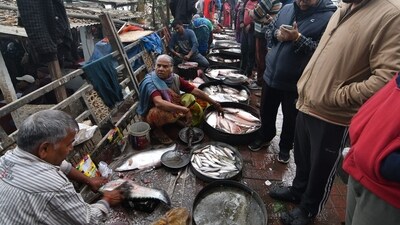 Locals buy fish from a market on the occasion of 'Uruka' as part of Magh Bihu (Bhogali Bihu) celebrations in Guwahati. (PTI) Locals buy fish from a market on the occasion of 'Uruka' as part of Magh Bihu (Bhogali Bihu) celebrations in Guwahati. (PTI)