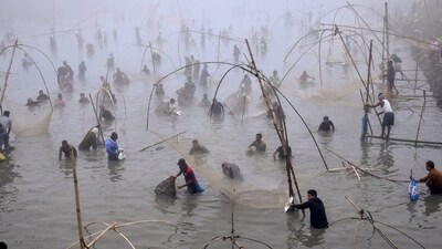 Villagers take part in a community fishing event at a lake as part of Magh Bihu (Bhogali Bihu) celebrations near Tezpur in Sonitpur district. (PTI) Villagers take part in a community fishing event at a lake as part of Magh Bihu (Bhogali Bihu) celebrations near Tezpur in Sonitpur district. (PTI)