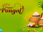 All you need to know about the rituals and traditions of Pongal. (HT Photo)