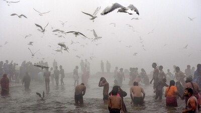 Devotees take a sacred dip in the Ganga river during Makar Sankranti at the annual 'Magh Mela' in Uttar Pradesh's Prayagraj on Sunday (ANI) Devotees take a sacred dip in the Ganga river during Makar Sankranti at the annual 'Magh Mela' in Uttar Pradesh's Prayagraj on Sunday (ANI)