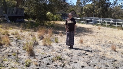 Kathleen Murray standing on her lawn that won the World’s Ugliest Lawn competition. (Gotland.com) Kathleen Murray standing on her lawn that won the World’s Ugliest Lawn competition. (Gotland.com)