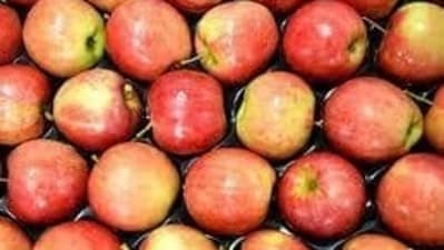 11. Apple - Apples are a low glycemic index fruit, meaning they do not cause a rapid spike in blood sugar levels. With their high fiber content and natural sugars, apples are a great choice for individuals looking to maintain stable blood sugar levels throughout the day while enjoying a tasty and nutritious snack. (File Photo) 11. Apple - Apples are a low glycemic index fruit, meaning they do not cause a rapid spike in blood sugar levels. With their high fiber content and natural sugars, apples are a great choice for individuals looking to maintain stable blood sugar levels throughout the day while enjoying a tasty and nutritious snack. (File Photo)