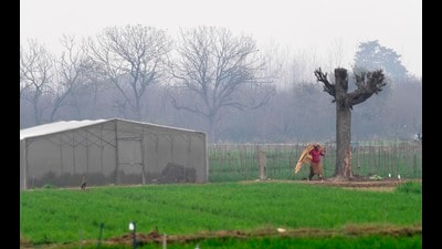 In Punjab, Amritsar recorded a low 4.1 degrees Celsius while Patiala and Ludhiana’s minimum temperatures were 3.4 and 2.5 degrees Celsius respectively.In Haryana, Narnaul was the coldest place as it reeled at 2 degrees Celsius. The minimum temperatures in Ambala, Hisar and Karnal were recorded at 4.4, 3.9 and 4 degrees Celsius. (Gurpreet Singh/HT)