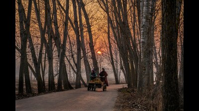 The centre said the dry weather was likely to continue till January 24 with feeble WDs approaching on January 16 and 20. (AP)