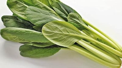 9. Mustard greens - Leaf-mustard is very low in calories (27 calories per 100g raw leaves) and fats. However, its dark-green leaves carry ample amounts of phytonutrients, vitamins and minerals. Additionally, it contains a very good amount of dietary fiber that helps control cholesterol levels by interfering with its absorption in the gut. (Shutterstock) 9. Mustard greens - Leaf-mustard is very low in calories (27 calories per 100g raw leaves) and fats. However, its dark-green leaves carry ample amounts of phytonutrients, vitamins and minerals. Additionally, it contains a very good amount of dietary fiber that helps control cholesterol levels by interfering with its absorption in the gut. (Shutterstock)