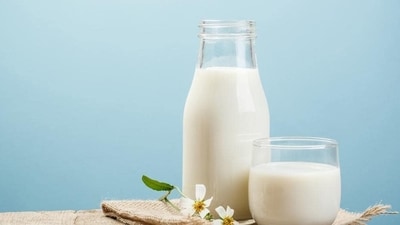 6. Full Fat Milk - Full-fat milk is a nutrient-rich beverage that can support fertility. It contains essential nutrients like calcium, vitamin D, and protein, which promote hormone function and a healthy menstrual cycle. Including full-fat milk in your diet may improve fertility by providing necessary nutrients and supporting hormonal balance. (Shutterstock) 6. Full Fat Milk - Full-fat milk is a nutrient-rich beverage that can support fertility. It contains essential nutrients like calcium, vitamin D, and protein, which promote hormone function and a healthy menstrual cycle. Including full-fat milk in your diet may improve fertility by providing necessary nutrients and supporting hormonal balance. (Shutterstock)