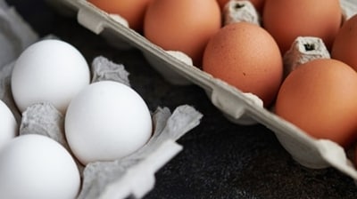 The price per dozen eggs has reached PKR 400 in Lahore, while chicken is being sold at PKR 615 per kg there, ARY News reported. (Unsplash) The price per dozen eggs has reached PKR 400 in Lahore, while chicken is being sold at PKR 615 per kg there, ARY News reported. (Unsplash)