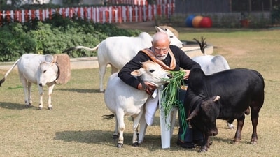 Prime Minister Narendra Modi has made a call for protection and preservation of 'Gau Mata,' earlier as well. Modi said that the cow has been ‘a significant part’ of Indian culture and tradition. (X/MyGovIndia) Prime Minister Narendra Modi has made a call for protection and preservation of 'Gau Mata,' earlier as well. Modi said that the cow has been ‘a significant part’ of Indian culture and tradition. (X/MyGovIndia)