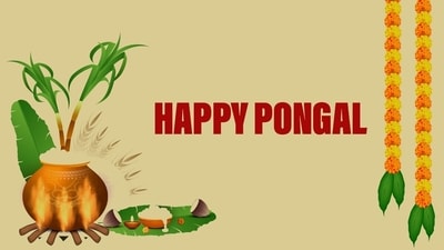 Pongal 2024 wishes, images, messages, SMS, greetings, WhatsApp and Facebook status to share with loved ones. (HT Photo) Pongal 2024 wishes, images, messages, SMS, greetings, WhatsApp and Facebook status to share with loved ones. (HT Photo)