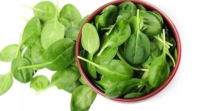 7. Spinach - This is an all-season vegetable and a good source of dietary fiber, vitamins, folic acid, chlorophyll, manganese, calcium, potassium, zinc, phosphorus, protein and carotene. The glycemic index of spinach is almost 0, so it is a healthy habit for people with diabetes to keep their blood sugar stable. (Freepik) 7. Spinach - This is an all-season vegetable and a good source of dietary fiber, vitamins, folic acid, chlorophyll, manganese, calcium, potassium, zinc, phosphorus, protein and carotene. The glycemic index of spinach is almost 0, so it is a healthy habit for people with diabetes to keep their blood sugar stable. (Freepik)