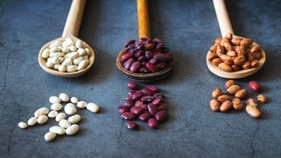 3. Beans - The lean protein in beans, along with the iron helps increase fertility and libido. Due to low iron, ovulation does not produce healthy eggs and this is called anovulation. They are high in fiber, which can help you feel full for longer. Beans, including black beans, contain carbohydrates but also fiber, protein and other nutrients, resulting in a low glycemic index. Therefore, they are very important in the list of diabetes foods. (Unsplash) 3. Beans - The lean protein in beans, along with the iron helps increase fertility and libido. Due to low iron, ovulation does not produce healthy eggs and this is called anovulation. They are high in fiber, which can help you feel full for longer. Beans, including black beans, contain carbohydrates but also fiber, protein and other nutrients, resulting in a low glycemic index. Therefore, they are very important in the list of diabetes foods. (Unsplash)