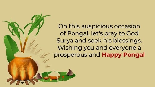 Pongal is a four-day-long harvest festival celebrated with pomp in India. (HT Photo) Pongal is a four-day-long harvest festival celebrated with pomp in India. (HT Photo)