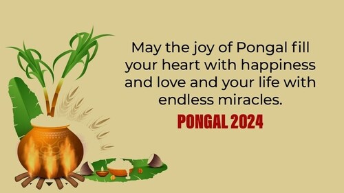 Pongal holds immense significance in Tamil Nadu. (HT Photo) Pongal holds immense significance in Tamil Nadu. (HT Photo)