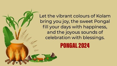 Every year, the festival falls in January during the Tai month of the Tamil Solar calendar. (HT Photo) Every year, the festival falls in January during the Tai month of the Tamil Solar calendar. (HT Photo)