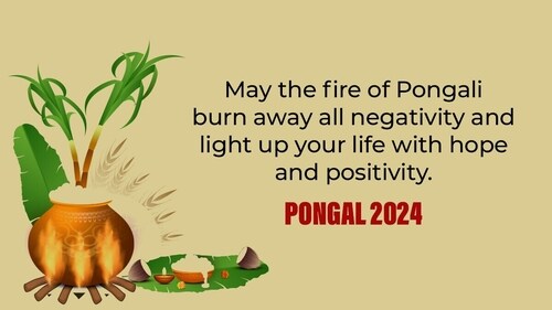 This year, Pongal will start on January 15 and end on January 18. (HT Photo) This year, Pongal will start on January 15 and end on January 18. (HT Photo)