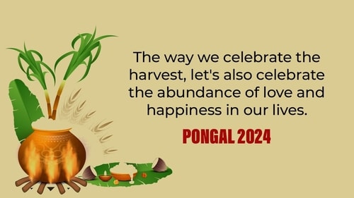 The first day of Pongal is Bhogi Pongal, second is Surya Pongal, third is Mattu Pongal, and fourth is called Kannam Pongal. (HT Photo) The first day of Pongal is Bhogi Pongal, second is Surya Pongal, third is Mattu Pongal, and fourth is called Kannam Pongal. (HT Photo)