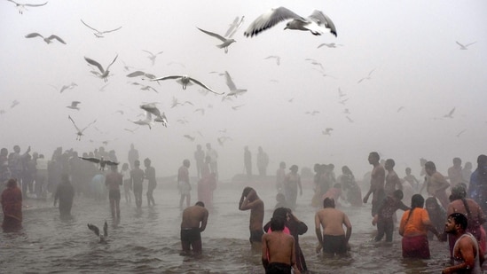 Devotees take a sacred dip in the Ganga river during Makar Sankranti at the annual 'Magh Mela' in Uttar Pradesh's Prayagraj on Sunday(ANI)