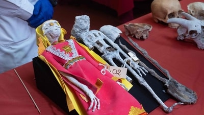 Peru Alien Mummies: Remains of an alleged extraterrestrial alien seen in Lima. (AFP) Peru Alien Mummies: Remains of an alleged extraterrestrial alien seen in Lima. (AFP)