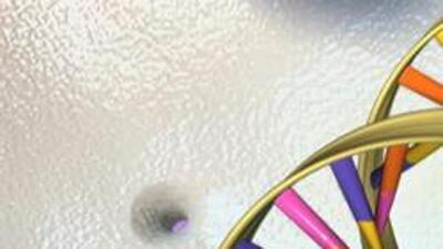 The Department of Biotechnology allocates ₹25 crore to establish DNA genome sequencing lab at the SPPU campus in Pune. ((PIC FOR REPRESENTATION)) The Department of Biotechnology allocates ₹25 crore to establish DNA genome sequencing lab at the SPPU campus in Pune. ((PIC FOR REPRESENTATION))