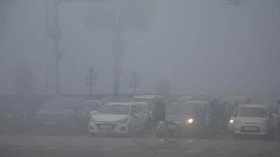 Vehicles at a traffic junction in Chandigarh on a foggy Monday morning. Chandigarh recorded a low of 3.6°C. (Ravi Kumar/HT)