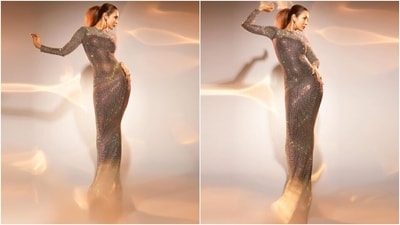 Malaika's dress is from the shelves of designer Yousef Aljasmi's label of the same name. Her ensemble proved that disco ball-reminiscent dresses are living up to the hype and should be a part of your party wardrobe. Coming to the design elements of the dress, it features a round neckline, full-length sleeves, floor-length hem, and a bodycon silhouette accentuating her enviable frame. (Instagram) Malaika's dress is from the shelves of designer Yousef Aljasmi's label of the same name. Her ensemble proved that disco ball-reminiscent dresses are living up to the hype and should be a part of your party wardrobe. Coming to the design elements of the dress, it features a round neckline, full-length sleeves, floor-length hem, and a bodycon silhouette accentuating her enviable frame. (Instagram)