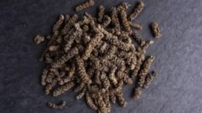 Due to its laxative property, Pippali helps in managing constipation by promoting healthy bowel movement.&nbsp; (Unsplash)