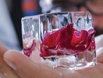 Frozen cubes of your favourite bitters, alcohol, or simply garnish such as rose or thyme can be popped out anytime to add to liquors or mixers. 